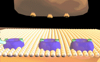 Please, wait while the animation loads