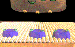 Please, wait while the animation loads